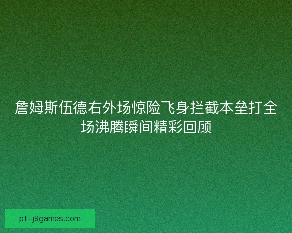 詹姆斯伍德右外场惊险飞身拦截本垒打全场沸腾瞬间精彩回顾